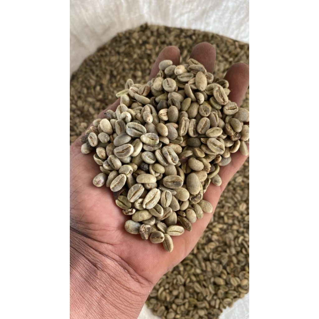 1Kg Biji Kopi Hijau Arabika Gayo Lues - 100% Murni, Full Wash, Kualitas Eksport
