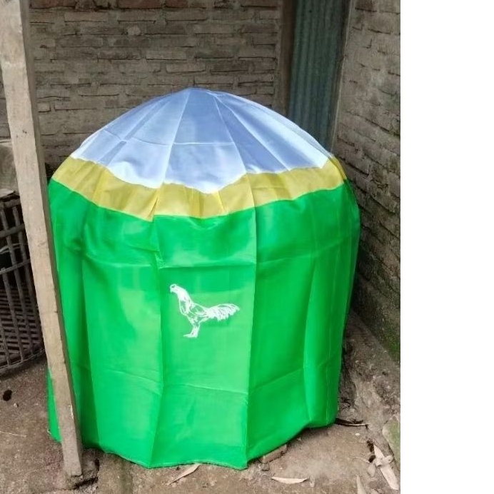 Krodong klambuu Ayam Bangkok Jumbo warna natural