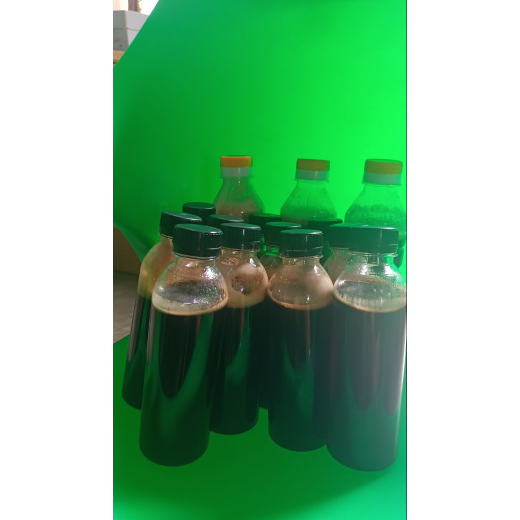 Madu Asli Hutan Jambi