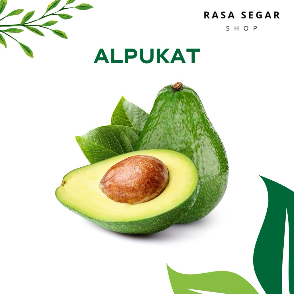 [BISA INSTANT] Alpukat Biasa 1KG Fresh Lokal