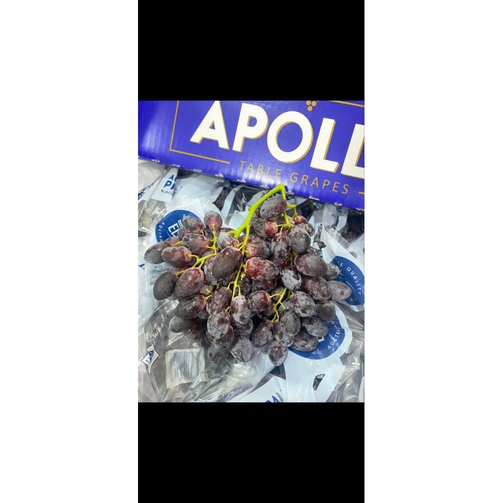 ANGGUR HITAM. ANGGUR GARING MANIS SEEDLESS. AUTUMN BLACK GRAPE