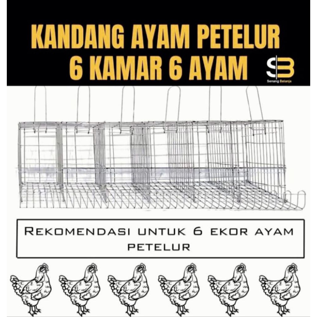 KANDANG AYAM PETELUR 6 KAMAR 6 AYAM KANDANG BESI BONGKAR PASANG