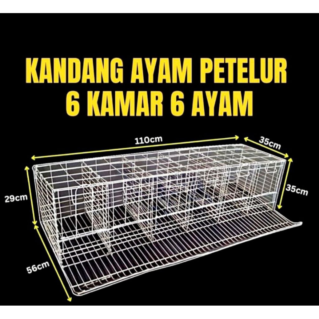 KANDANG AYAM PETELUR 6 KANDANG 6 AYAM KANDANG BESI BONGKAR PASANG