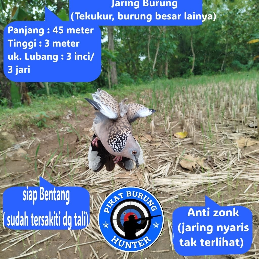 JARING BURUNG TEKUKUR p. 45 JALA JARING BURUNG TEKUKUR JARING JALA PIKAT SEMUA BURUNG BESAR PROMO JA