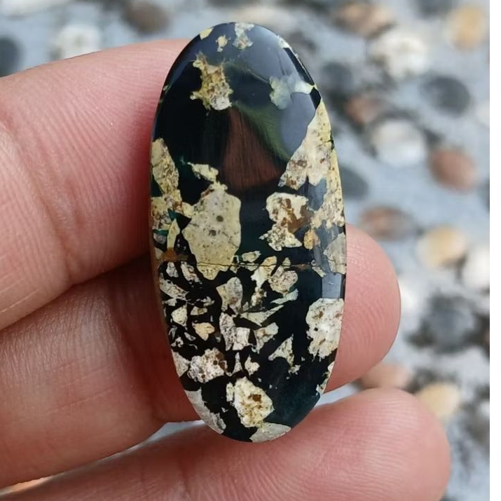 pirus persia hitam super