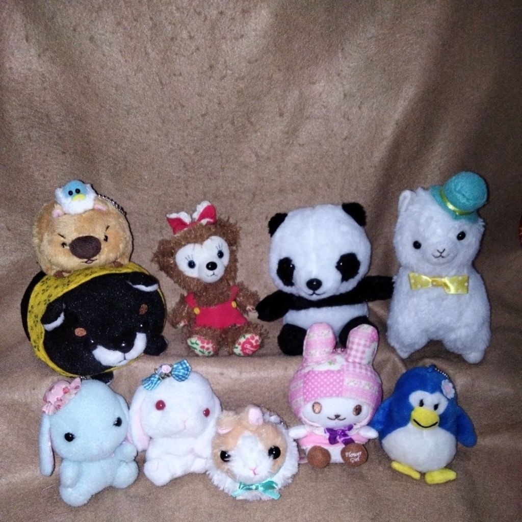 Amuse Loppy,Wombat alpacaso,Alpaca,Panda, marmut,Kelinci, kucing, teddy, shiba