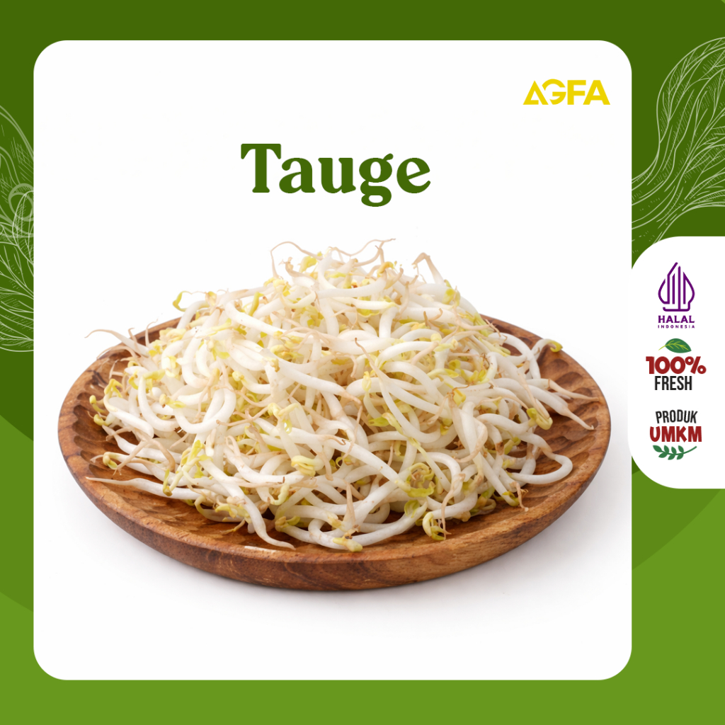 TOGE / TAUGE / KECAMBAH / SAYUR TOGE / ALE / TOGE KEDELAI / TOGE SAYUR ASEM / TOGE ALE 250GR