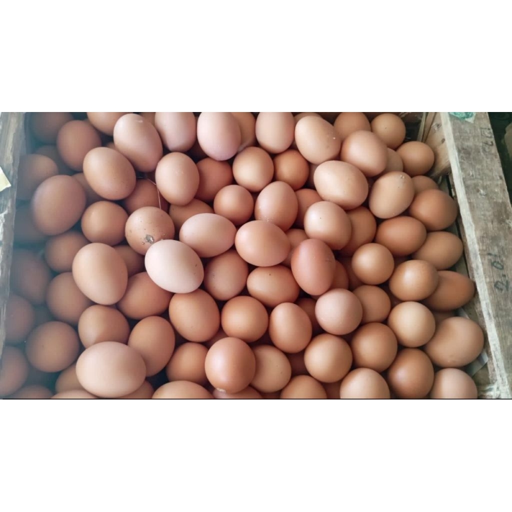 Telur Ayam 1kg