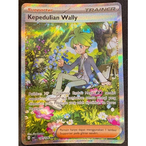 Kartu Koleksi TCG Pokemon Kepedulian Wally 181/126 SAR