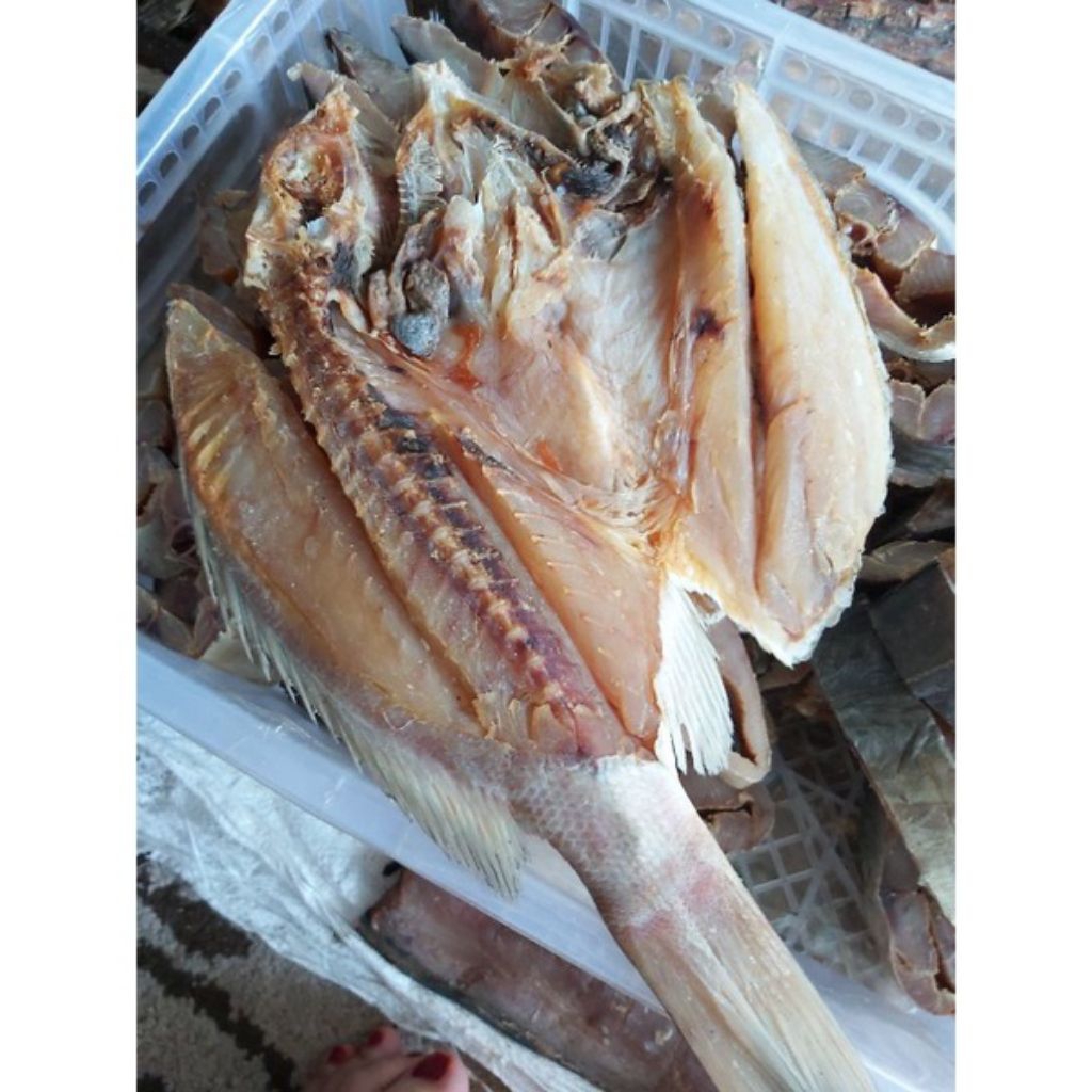 Ikan Asin kakap merah  Besar enak dan gurih