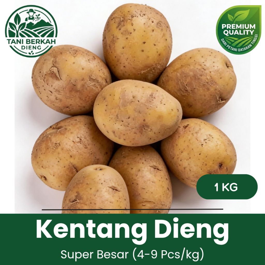 Kentang Dieng Segar Super Ukuran Jumbo 1 kg