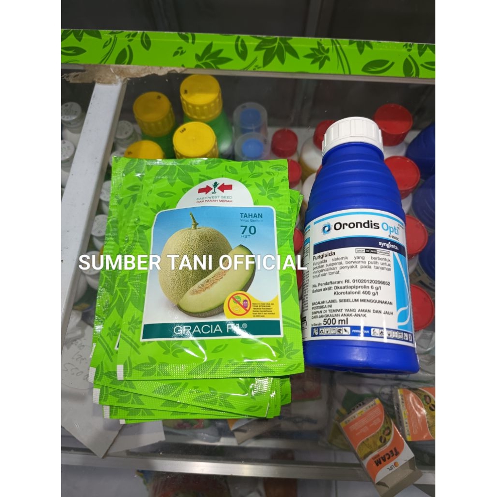 Benih Bibit Melon Madu Gracia F1, (Pangganti benih Alina OFF tidak produksi diganti Gracia) isi Beni