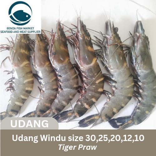 udang tiger windu size 40 30 25 20 15 10 prawn