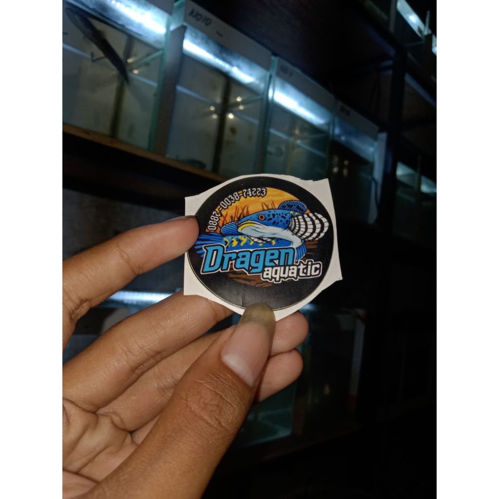 stiker limbata kualitas 14-15cm