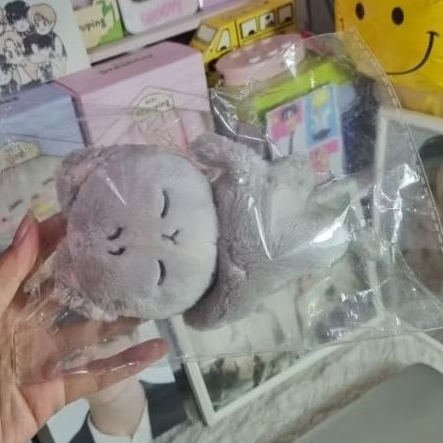 Doll Renjun nct dream Pokjjun 10cm Official Maker