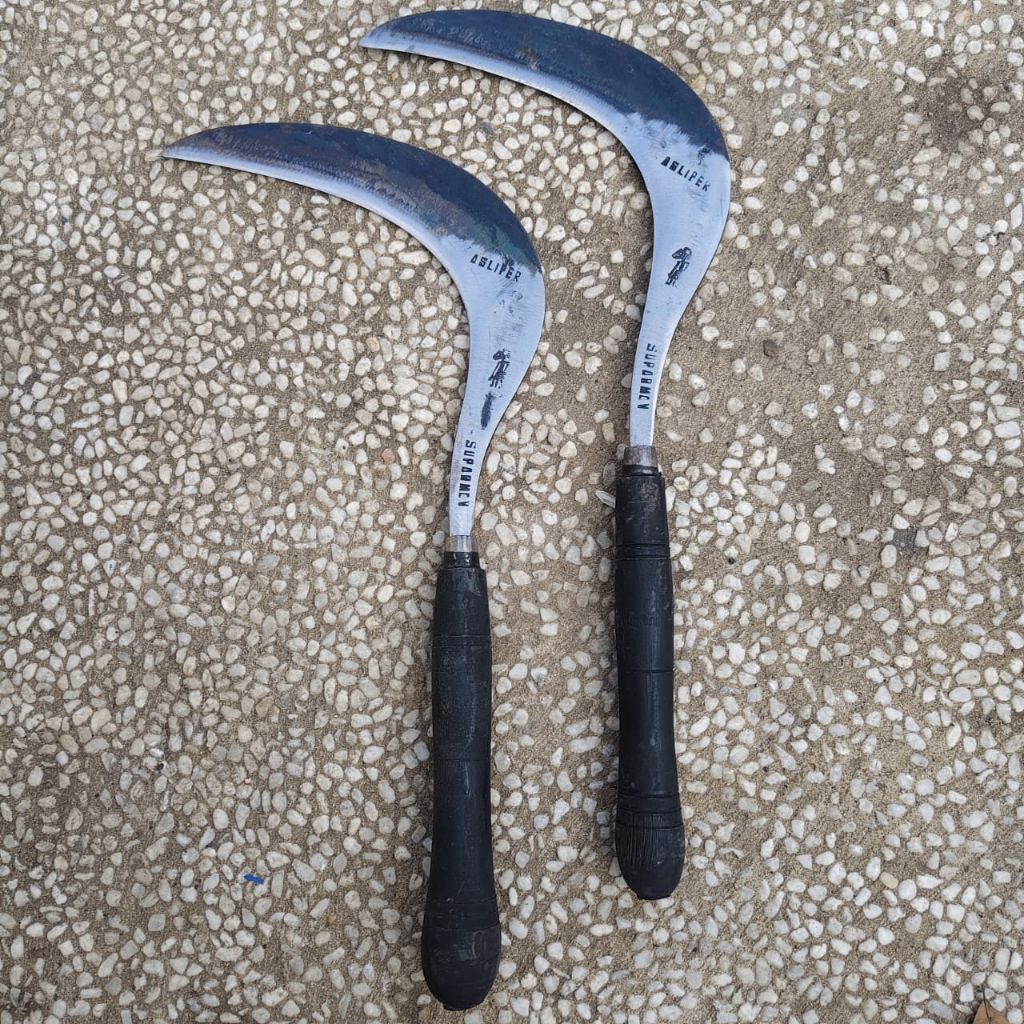 arit/sabit rumput baja per asli terjamin 100%