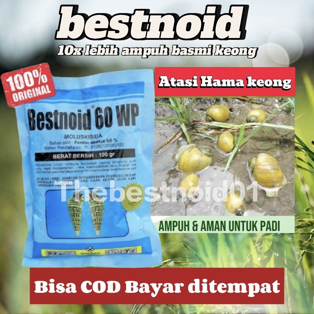 TERLARIS BESTNOID RACUN SIPUT/KEONG Bestnoid 60WP 100gram - MOLUSKISIDA RACUN KEONG