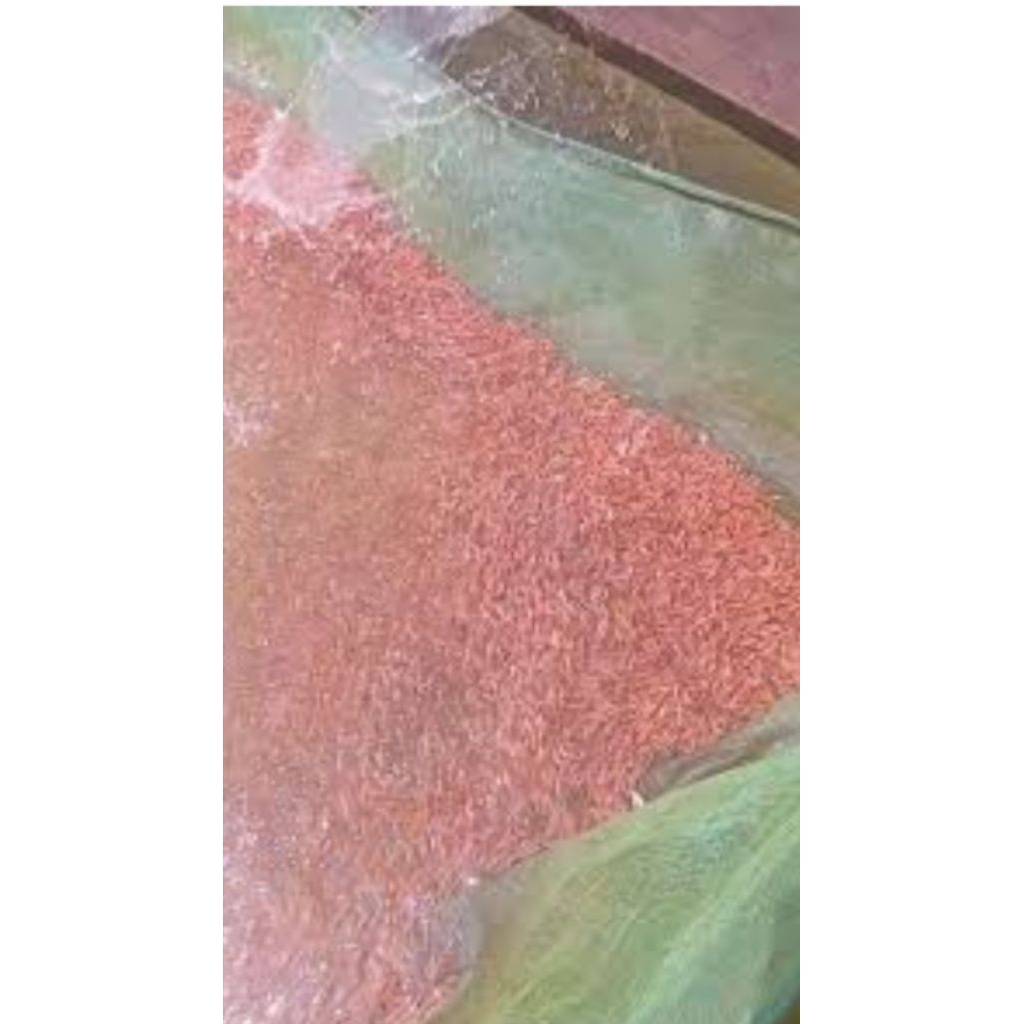 bibit ikan nila merah larva ukuran 0.6cm usia 15 hari is 400 ekor terbaik.