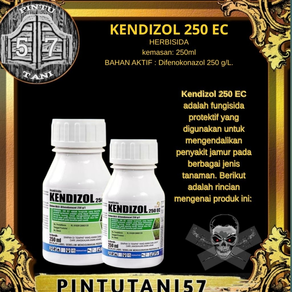 FUNGSIDA CAIR KENDIZOL 250 ML