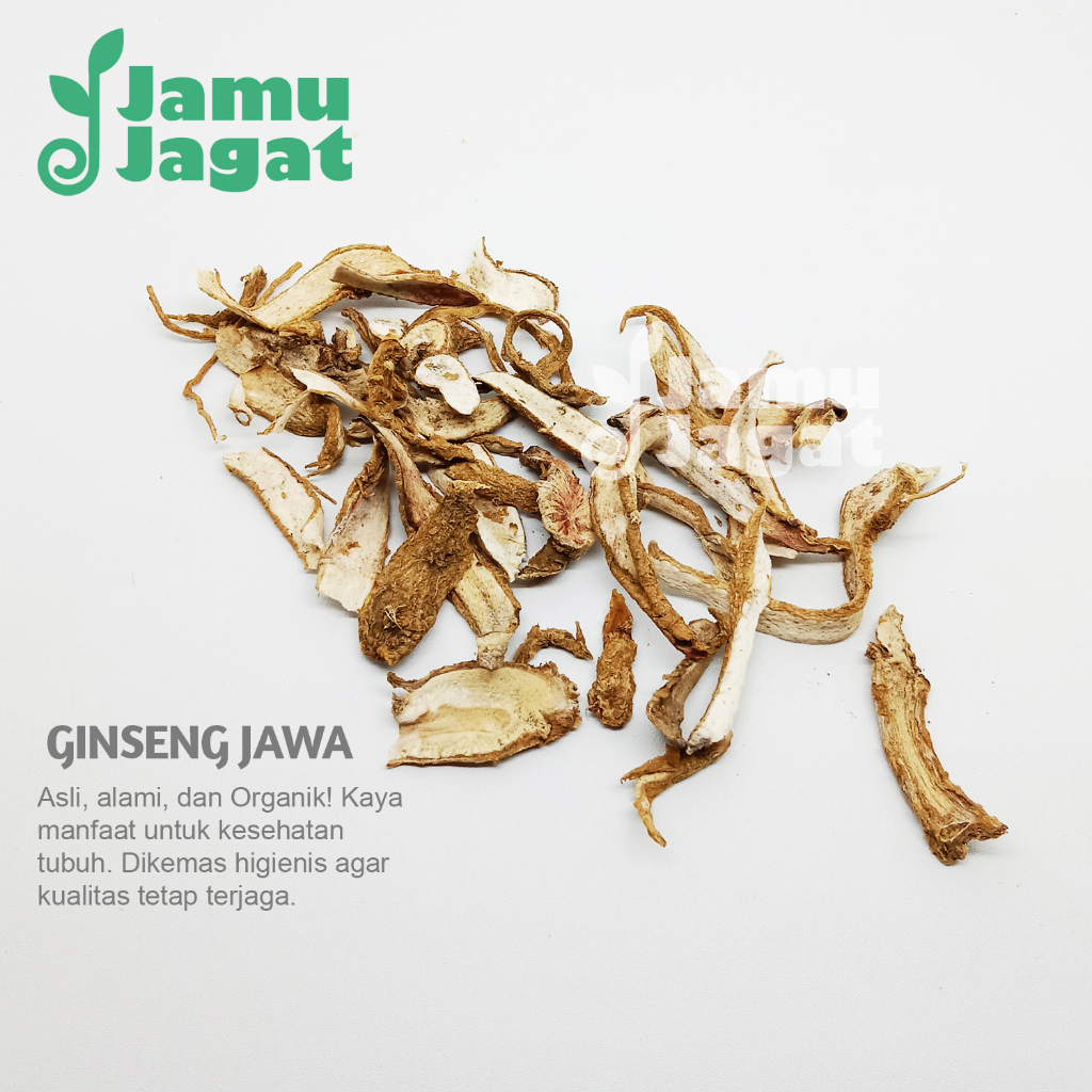 Ginseng Jawa Kering 50gr Asli SOM Grade A