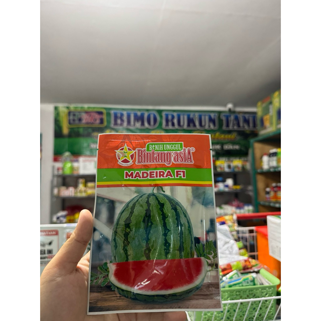 BENIH SEMANGKA MADEIRA