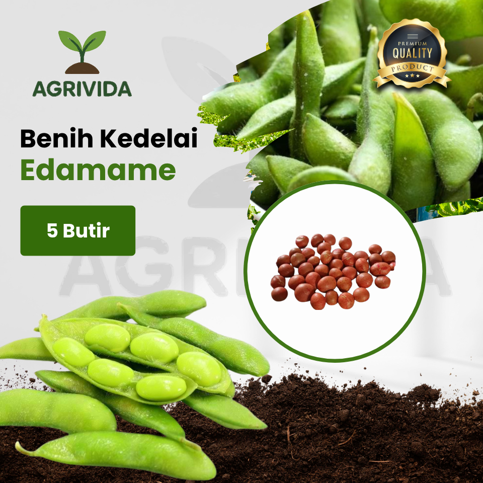 Benih Kedelai Edamame isi 5 Butir Benih kacang kedelai pilihan