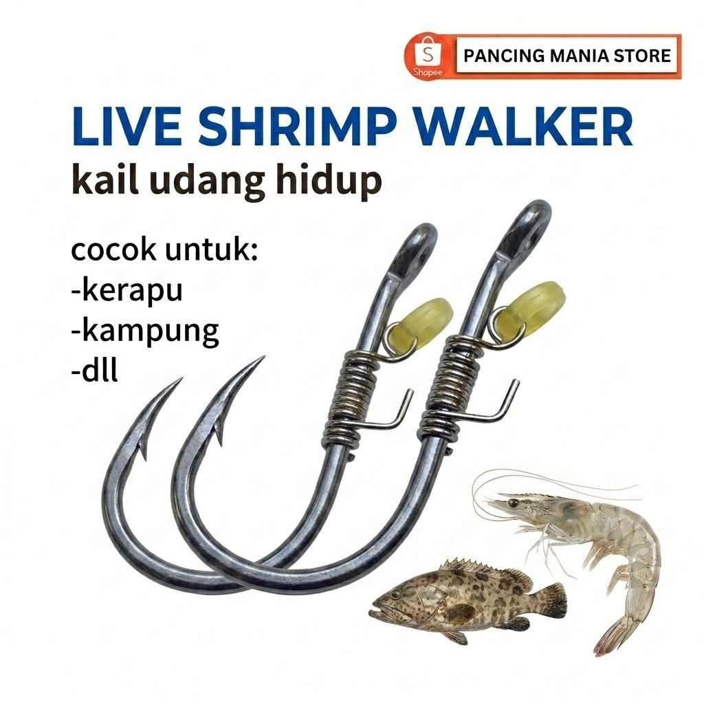 Promo toko baru kail pancing udang hidup Baramundi kakap putih kerapu mangrove jack baramundi