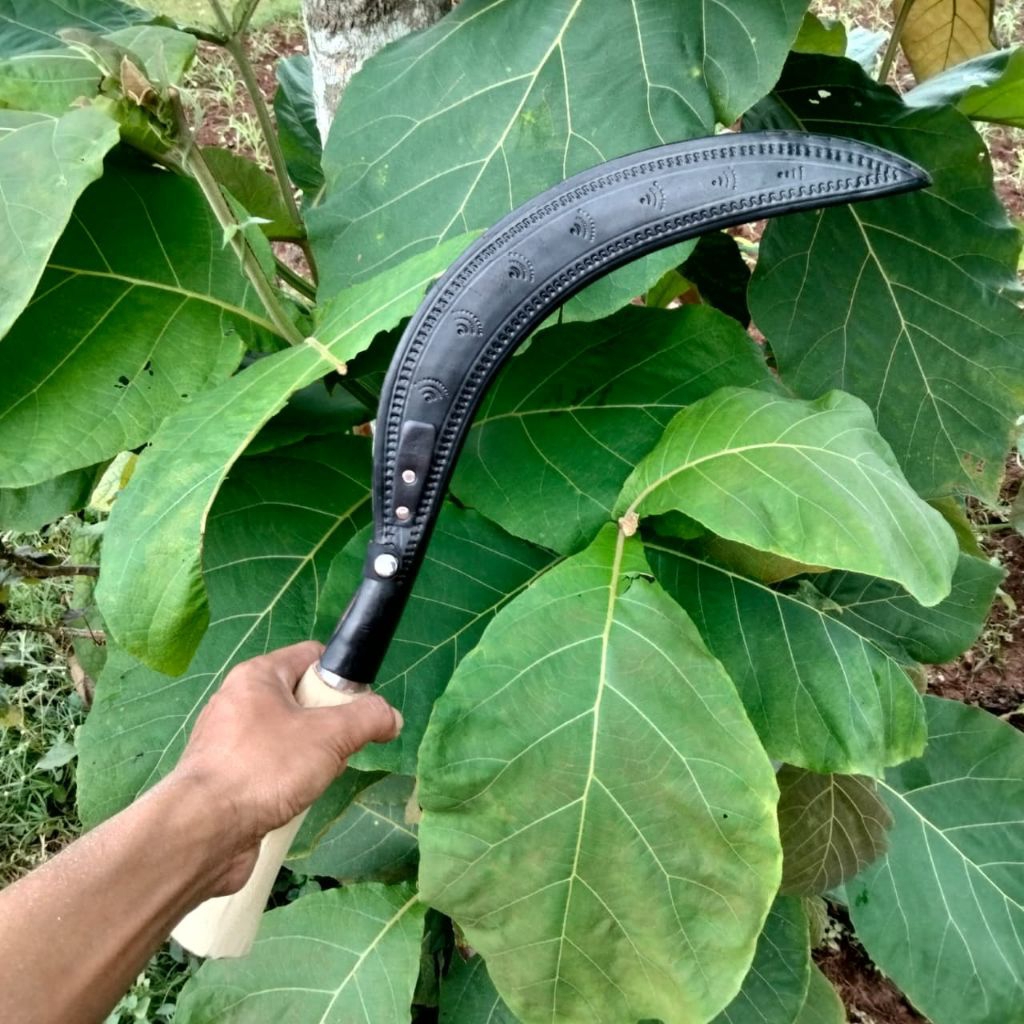 arit ramban super baja asli madura