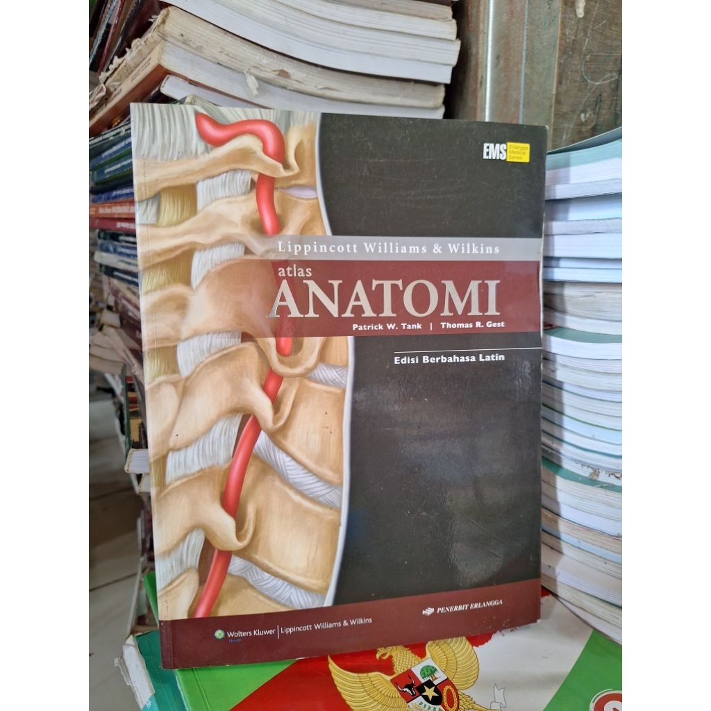 buku atlas anatomi manusia