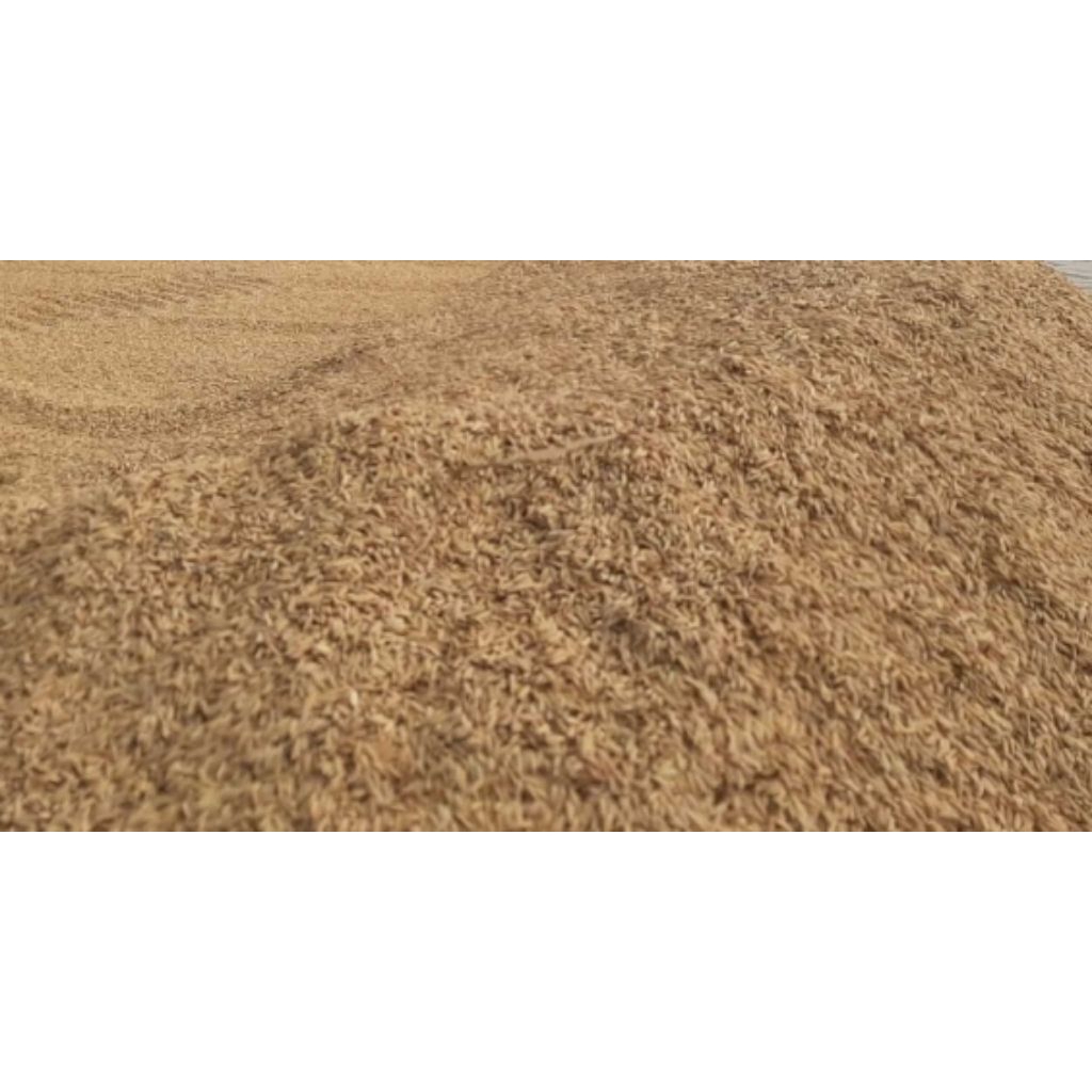 padi_Gabah putih kering 1 Kg