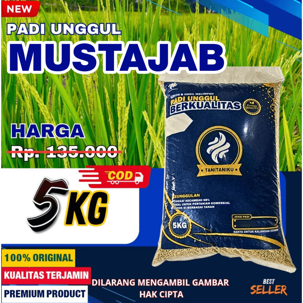 Benih Padi Mustajab Ukuran 5 KG