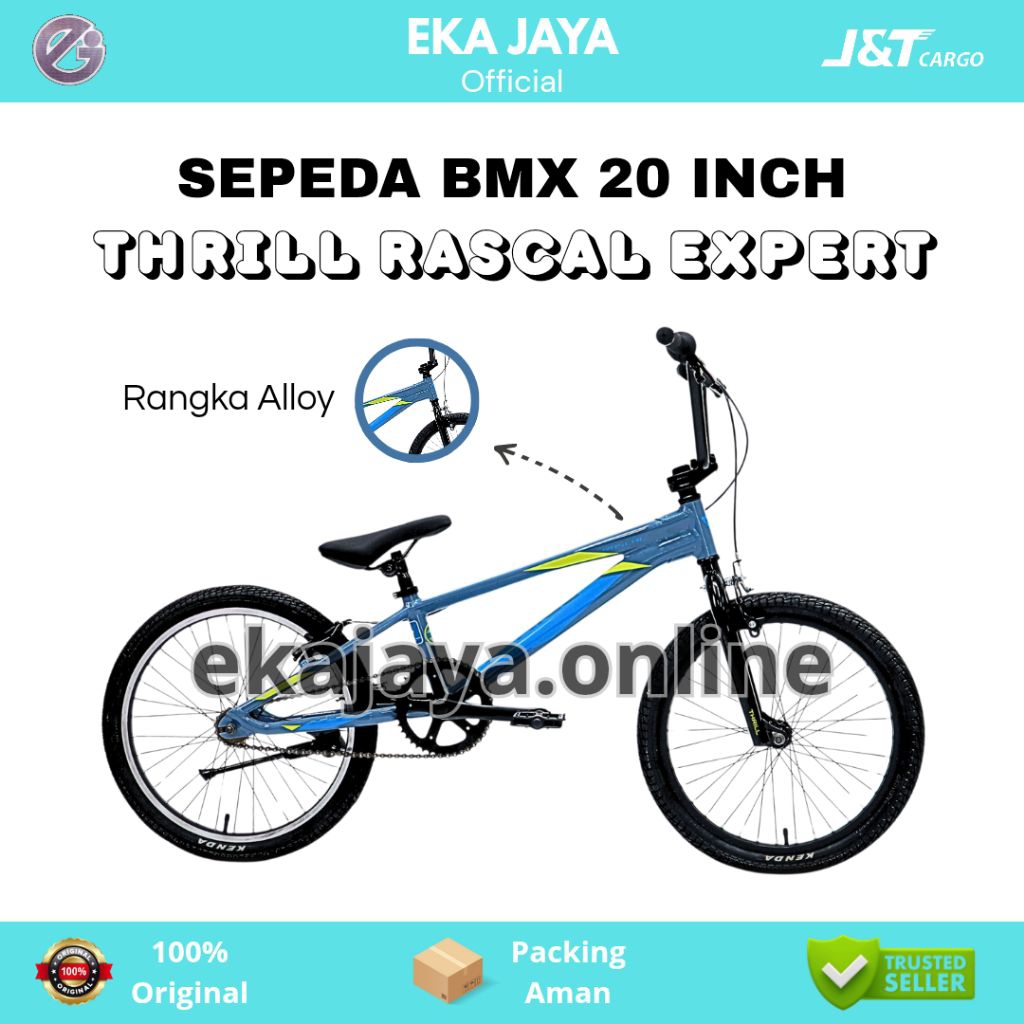 Sepeda BMX Anak Laki Laki Ukuran 20 Inch THRILL RASCAL EXPERT