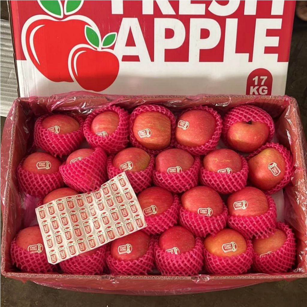 PERDUS - BUAH APEL FUJI 1 DUS (17 KG ) SEGEL MERAH - EKA JAYA JAKARTA