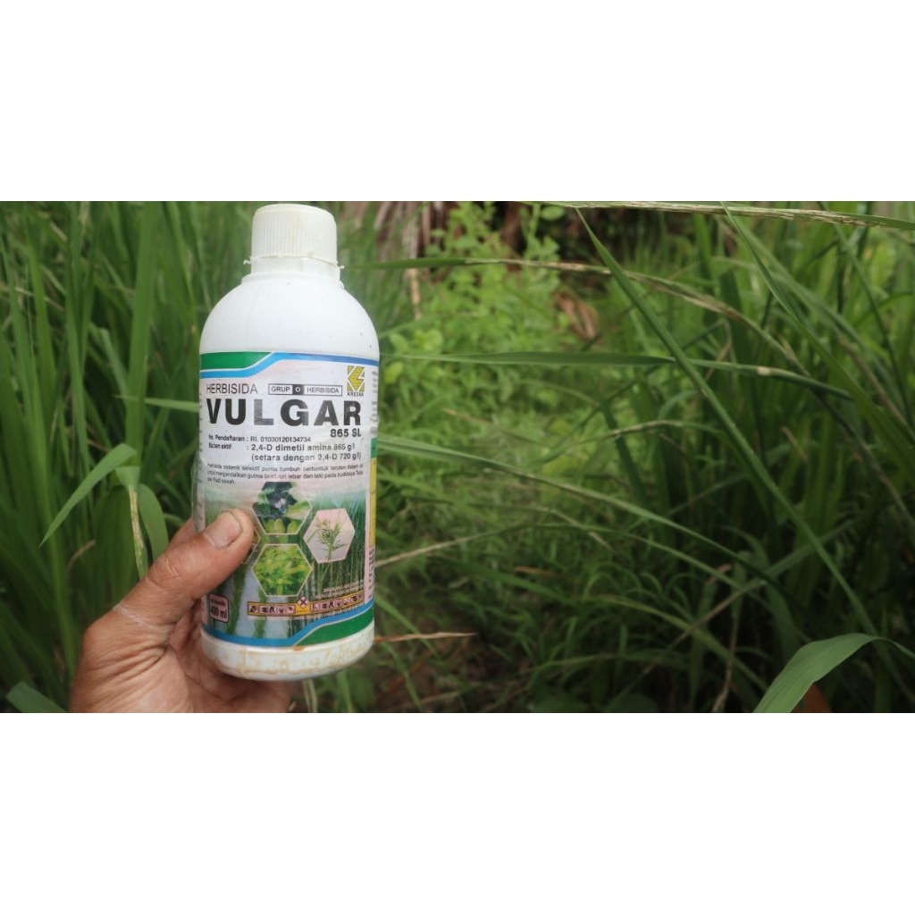 Herbisida Vulgar 200ml - Sistemik Selektif untuk Tebu & Padi