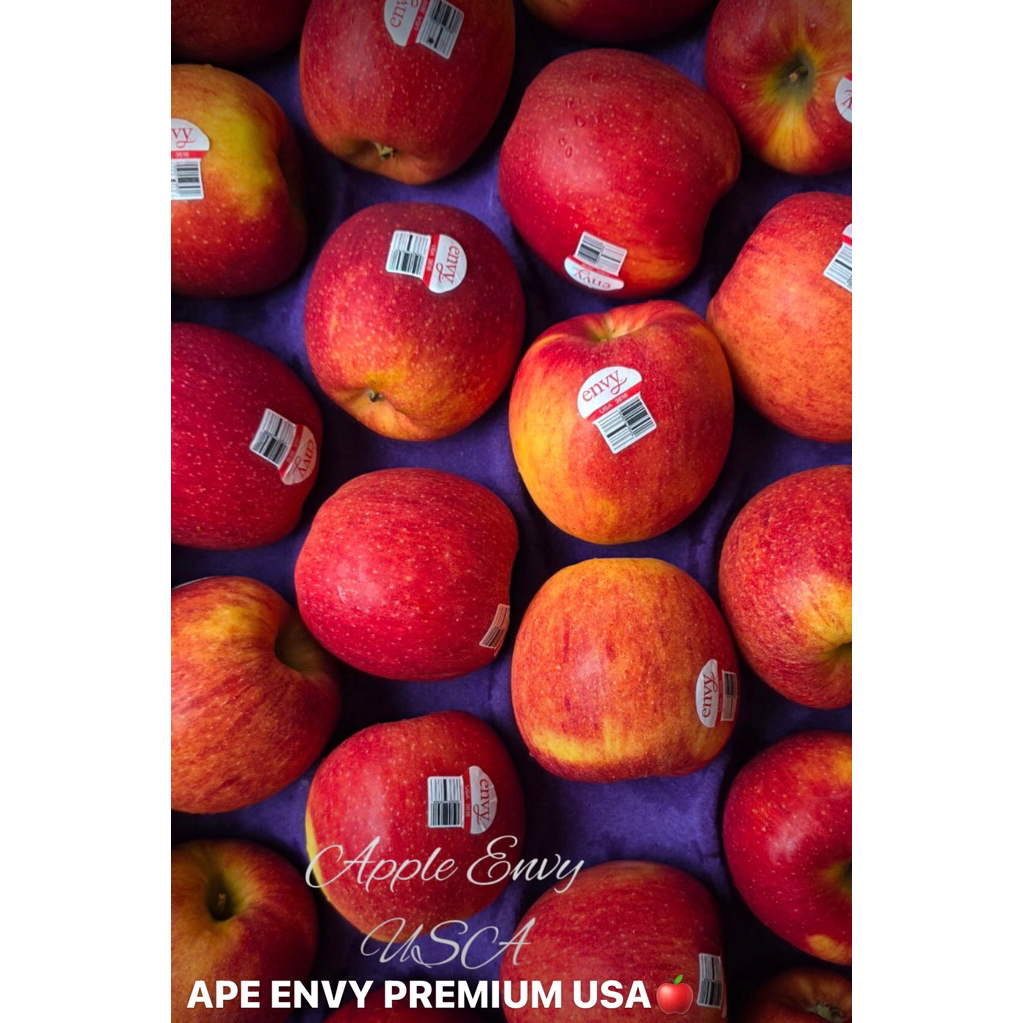 APEL ENVY USA