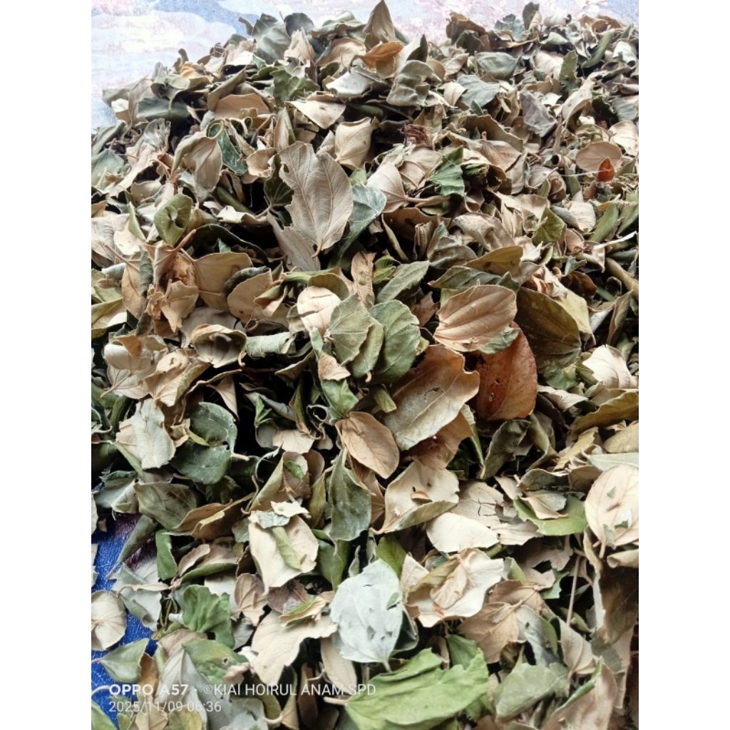 daun bidara kering 1kg
