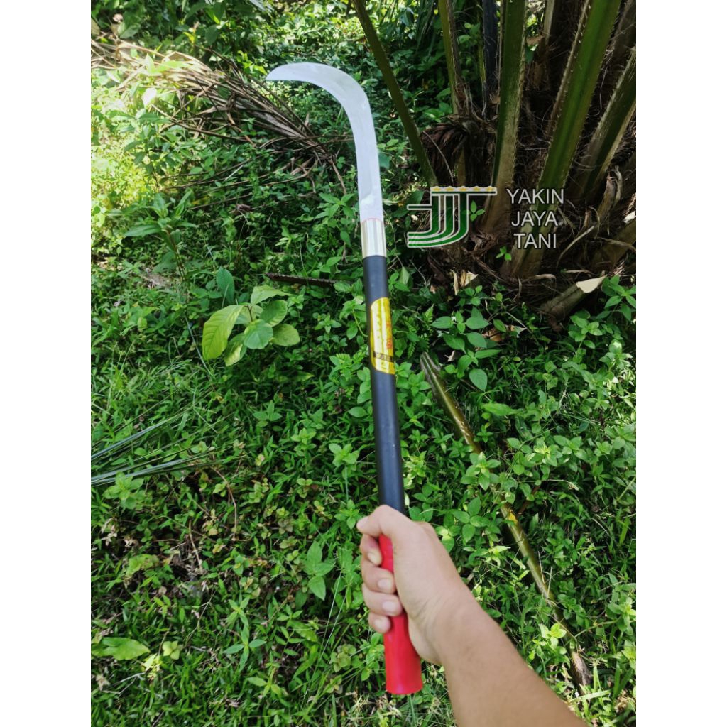 alat pemetik buah / kastrasi / pangkas dahan kecil / penyiang rumput malaysia panjang 60 cm - sabit 