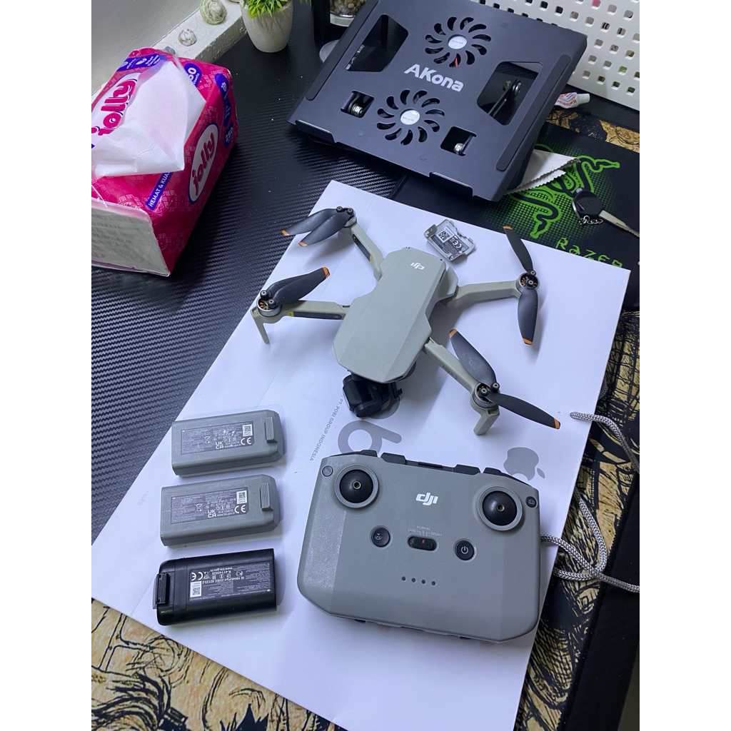 DJI Mini 2 second crash