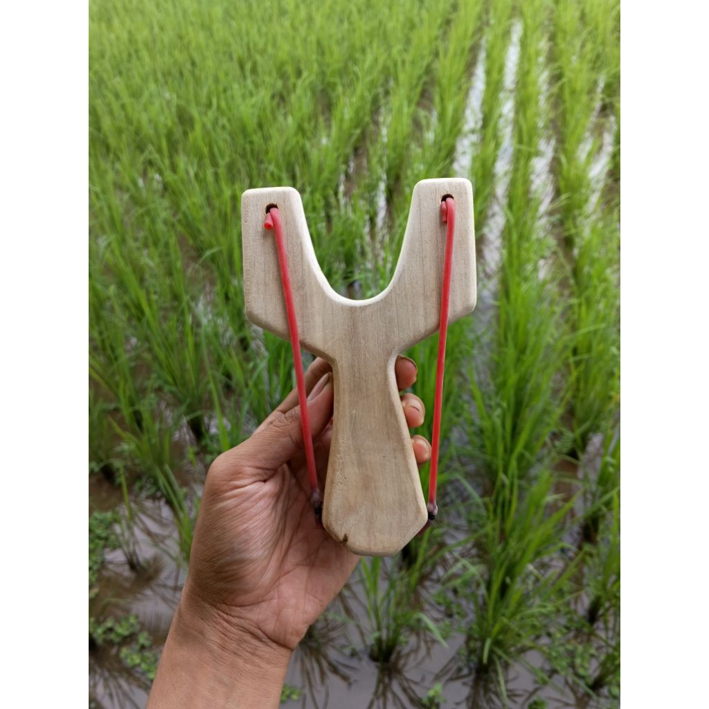 Ketapel Paser Ikan Kerajinan Kayu Desain Unik