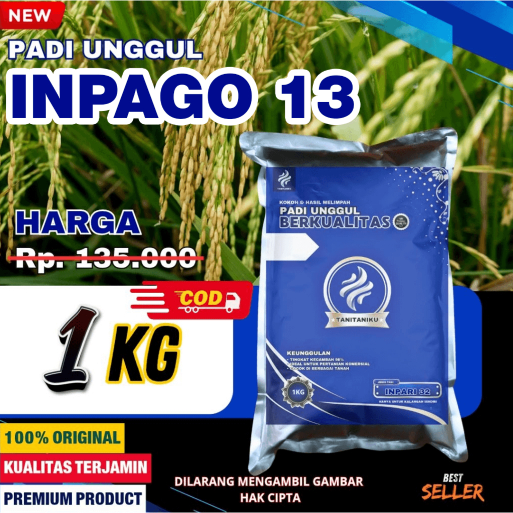 Benih Padi Inpago 13 Ukuran 1KG