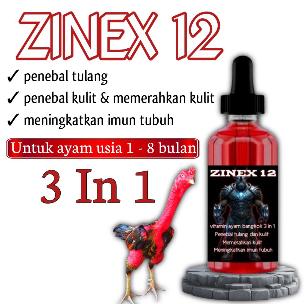 Vitamin memerahkan kulit anak ayam Bangkok Zenix12 usia 1 sampai 8 bulan