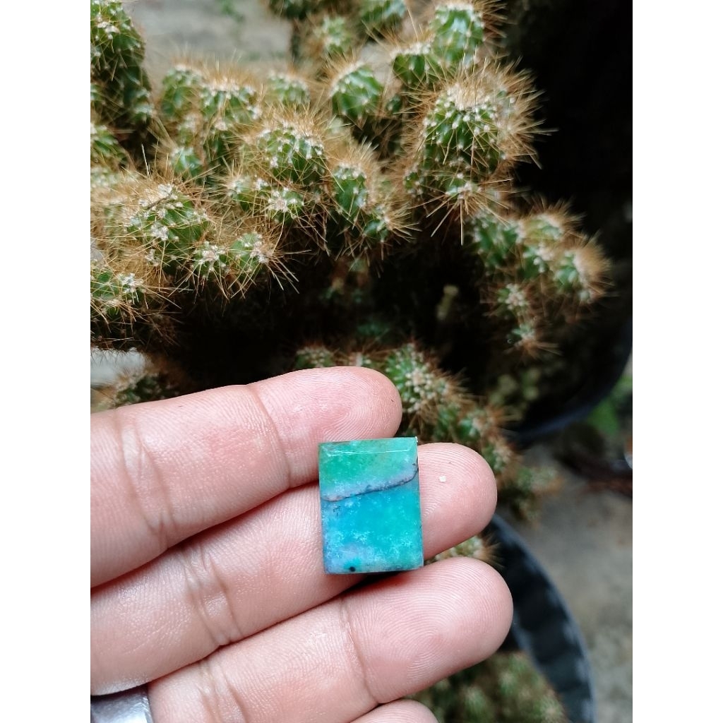hijau garut cikolak cuting