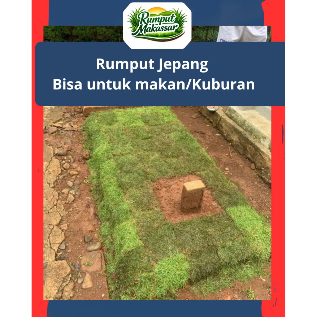 16 kotak Rumput Makam