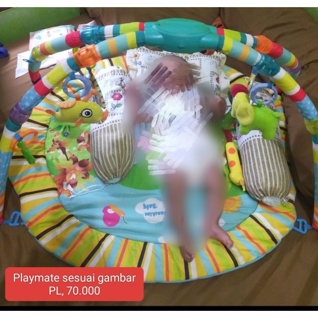 Playmate Bayi