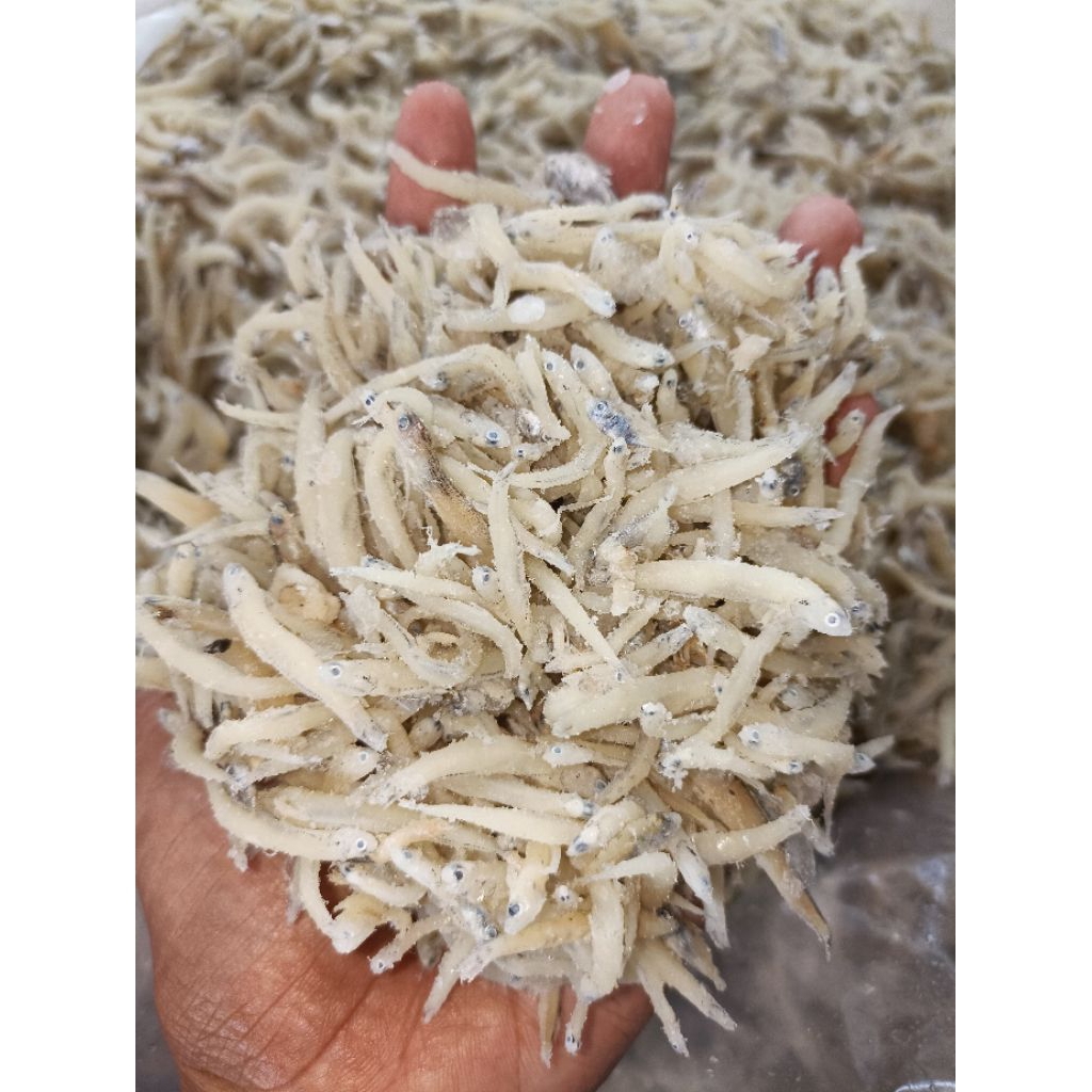 PROMO ikan asin teri medan/ikan asin teri nasi