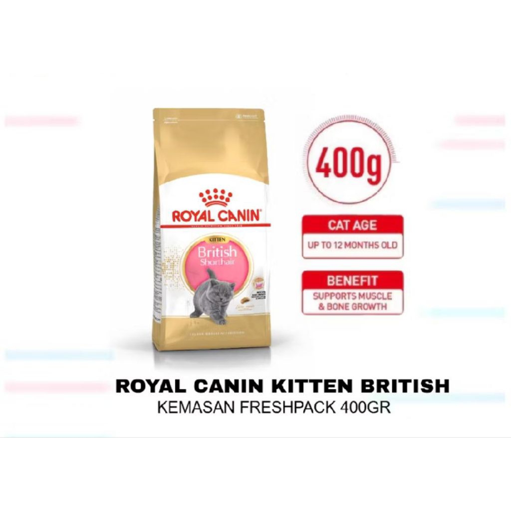 royal canin kitten bsh