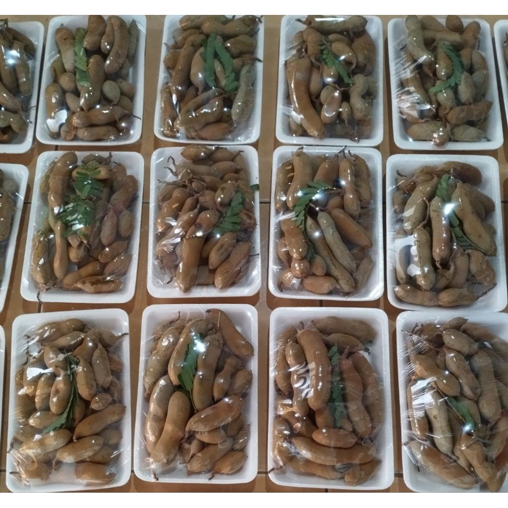 Asam Jawa Muda