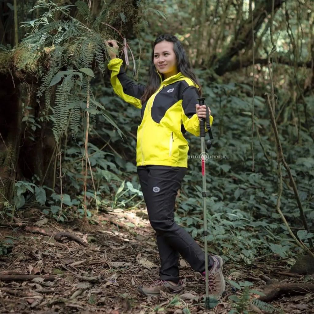 Jaket Makalu Pasadena