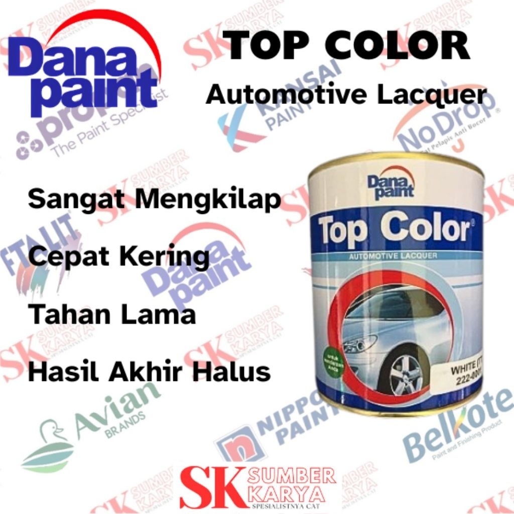 TOP COLOR DANAPAINT CAT DUCO