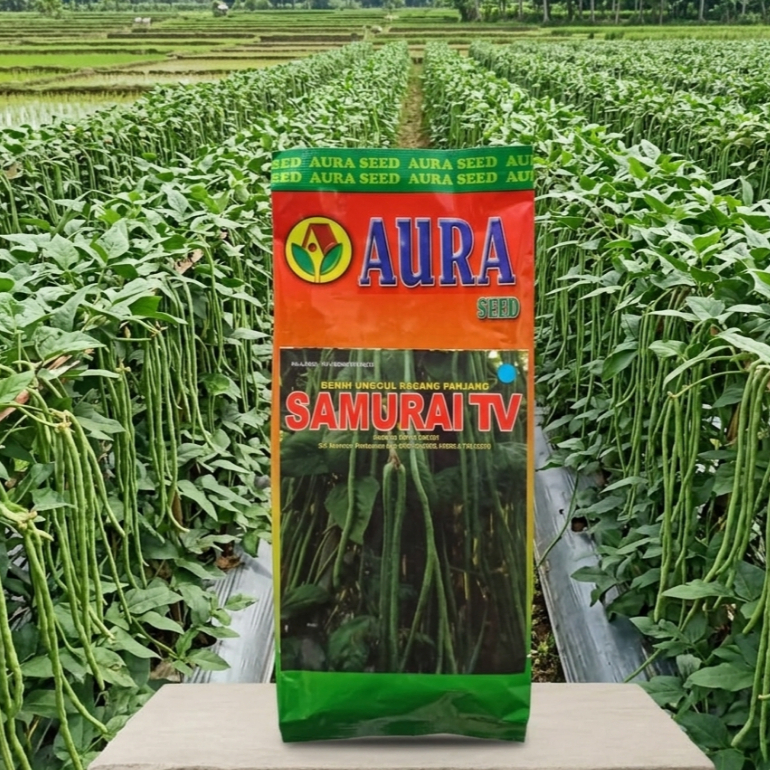 Kacang Panjang SAMURAI TV 500 GR / Bibit Kacang Panjang Aura Samurai TV